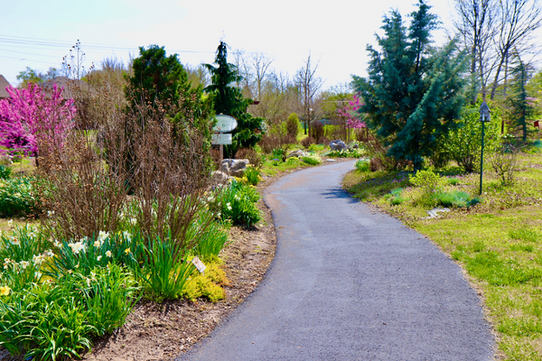Gardens at Woodfield path in spring