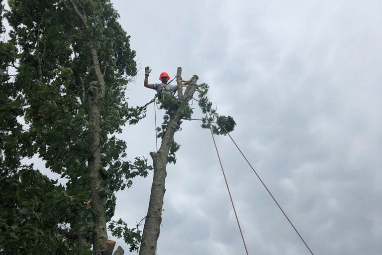 Utilities City of Nixa, MO