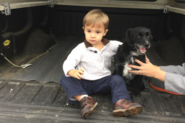 Toddler boy reunited with his dog