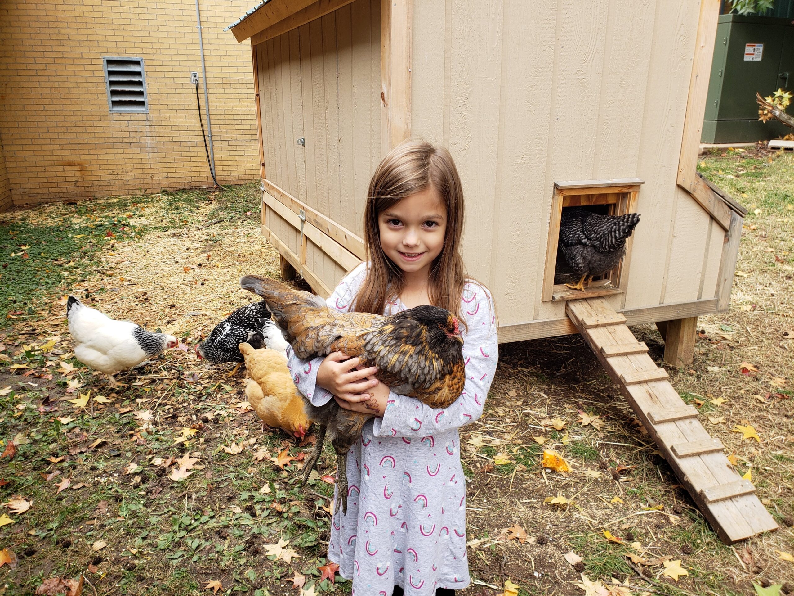 girl with chicken