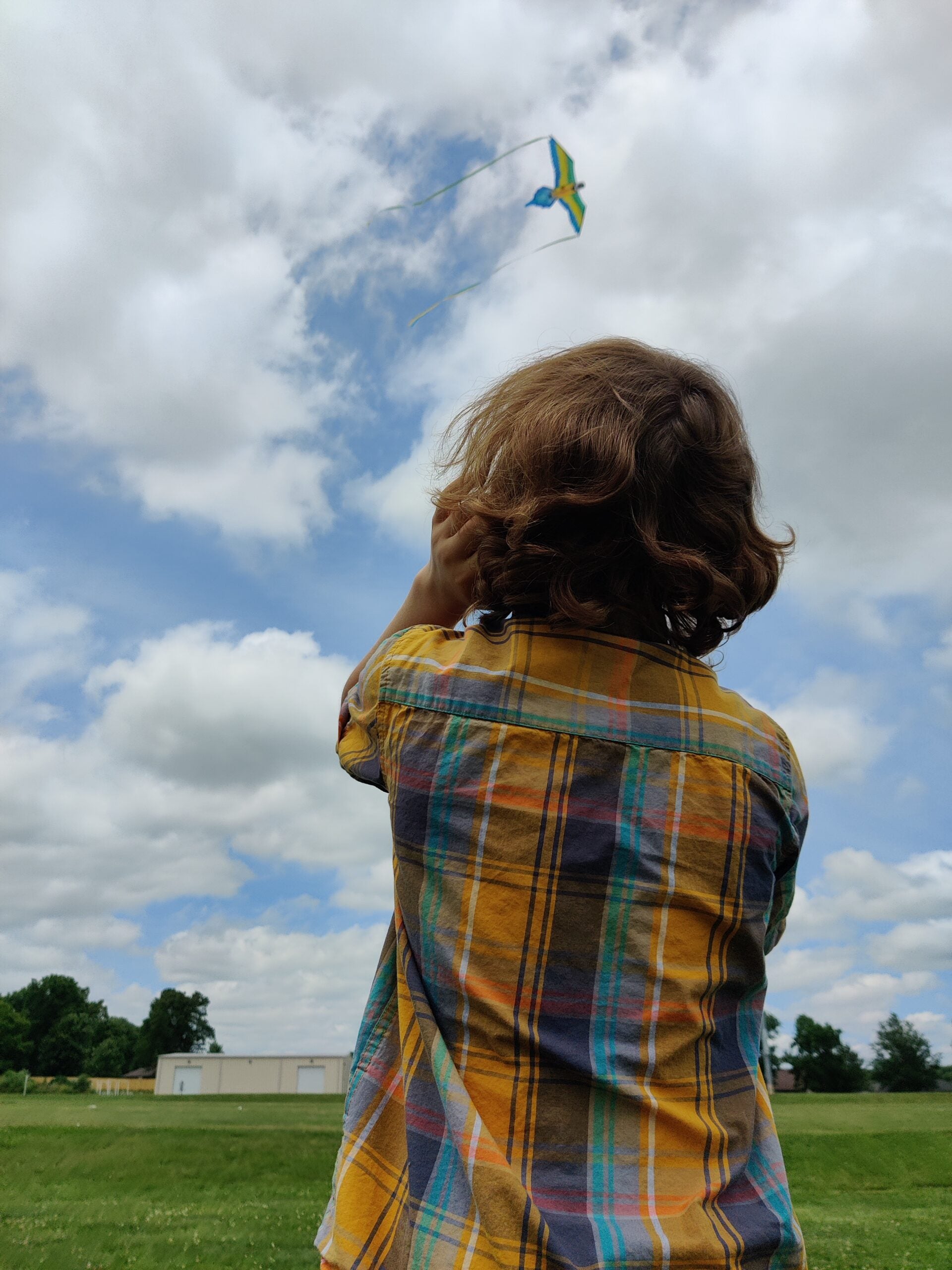 boy flying kite