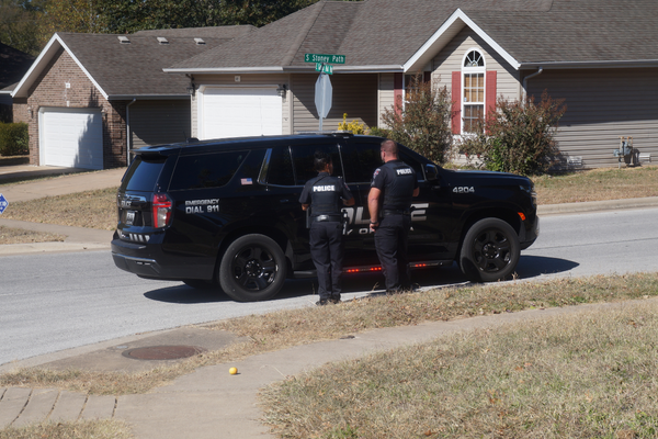 Two officers and a police vehicle